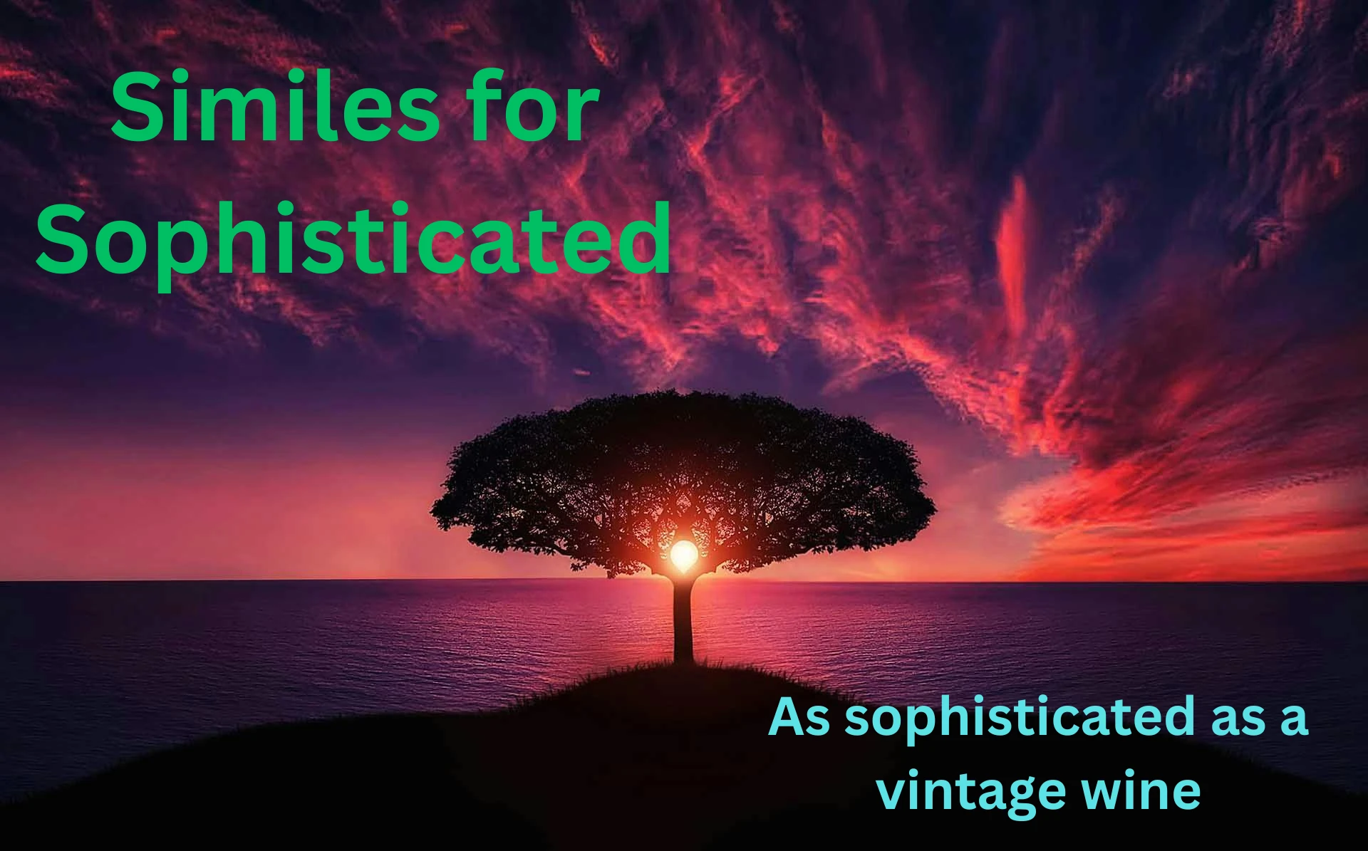 Similes for Sophisticated with Meaning and Examples