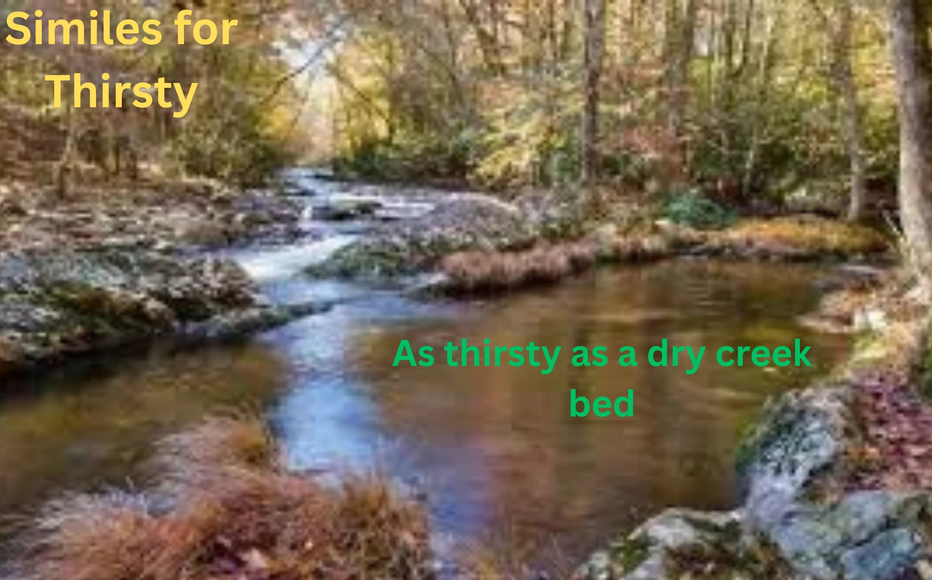 Similes for Thirsty with Meanings and Examples