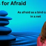 Similes for Afraid with Meaning and Examples
