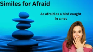 Similes for Afraid with Meaning and Examples