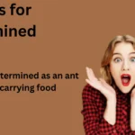 Similes for Determined with Explanation and Examples