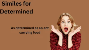 Similes for Determined with Explanation and Examples