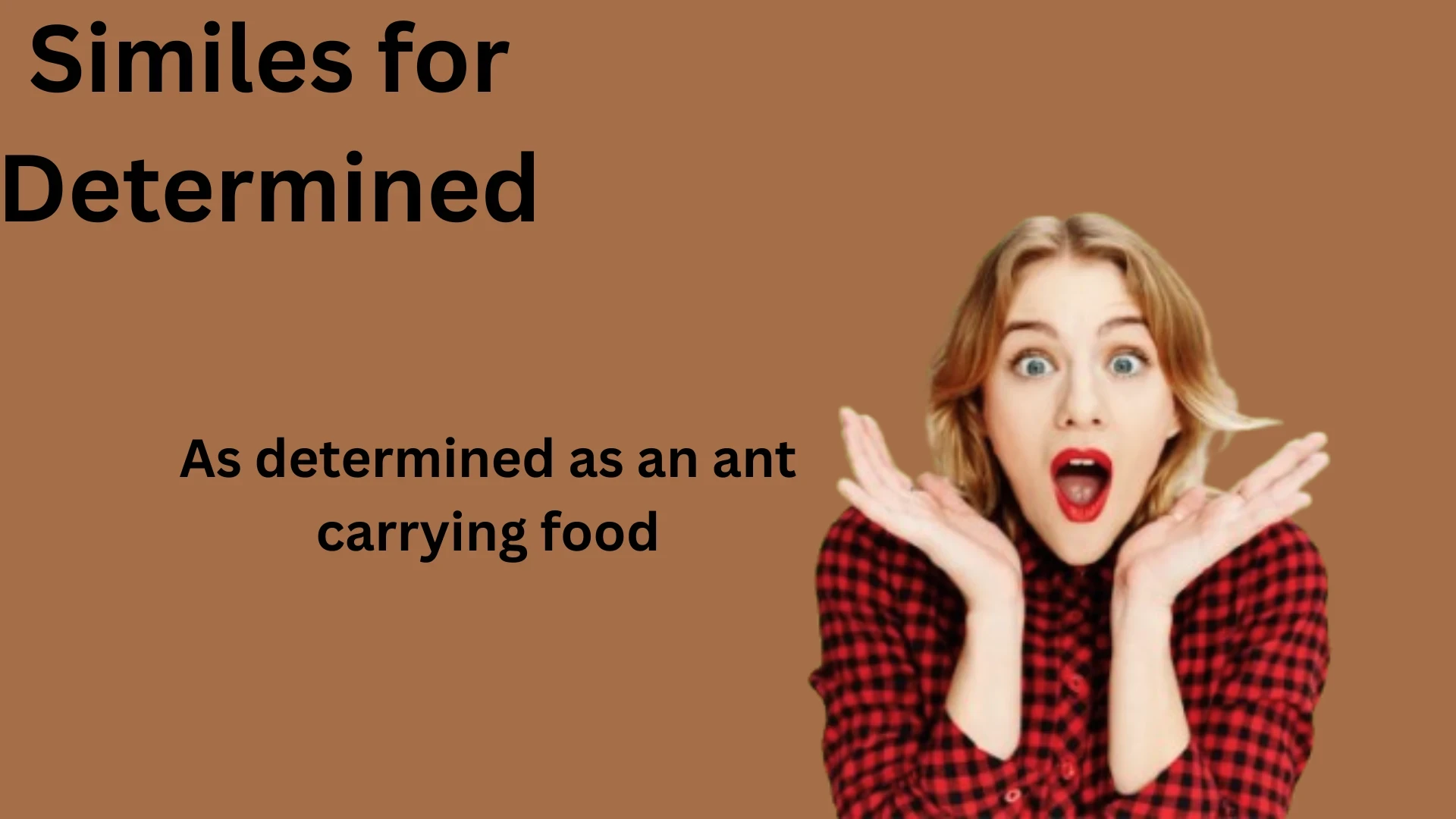 Similes for Determined with Explanation and Examples