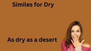 Similes for Dry Example and Explanation