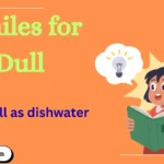 Similes for Dull with example and explanation