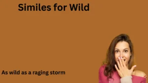 Similes for Wild with Meaning and Examples