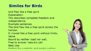 Similes for Birds