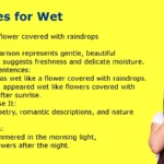 Similes for Wet: With Meaning and Examples