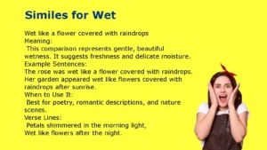 Similes for Wet: With Meaning and Examples