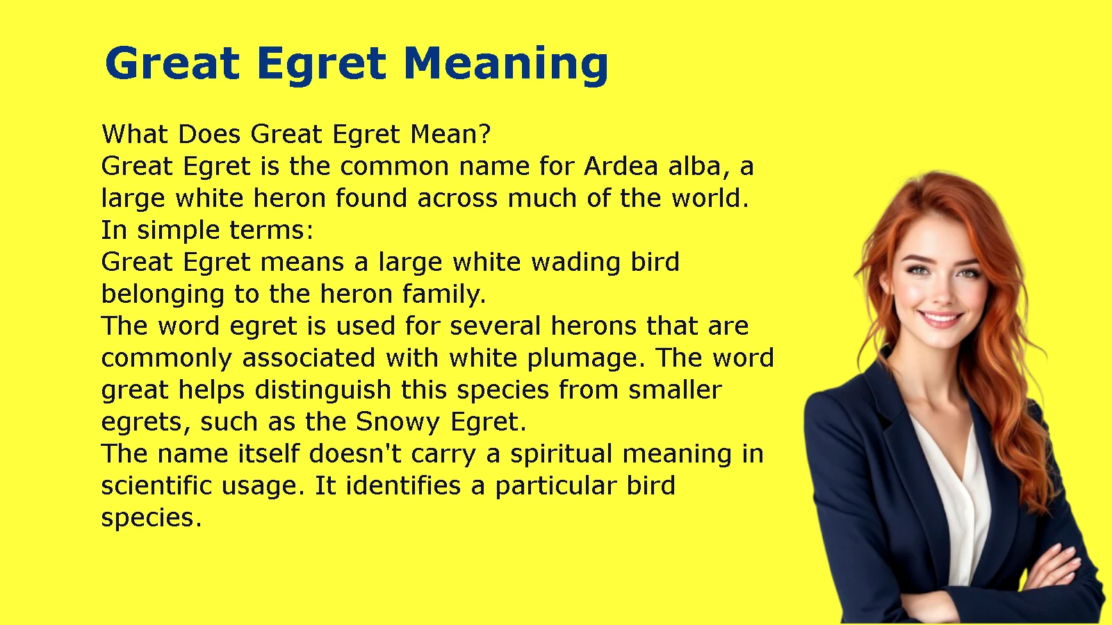 Great Egret Meaning