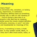 Inane Meaning
