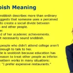 Snobbish Meaning