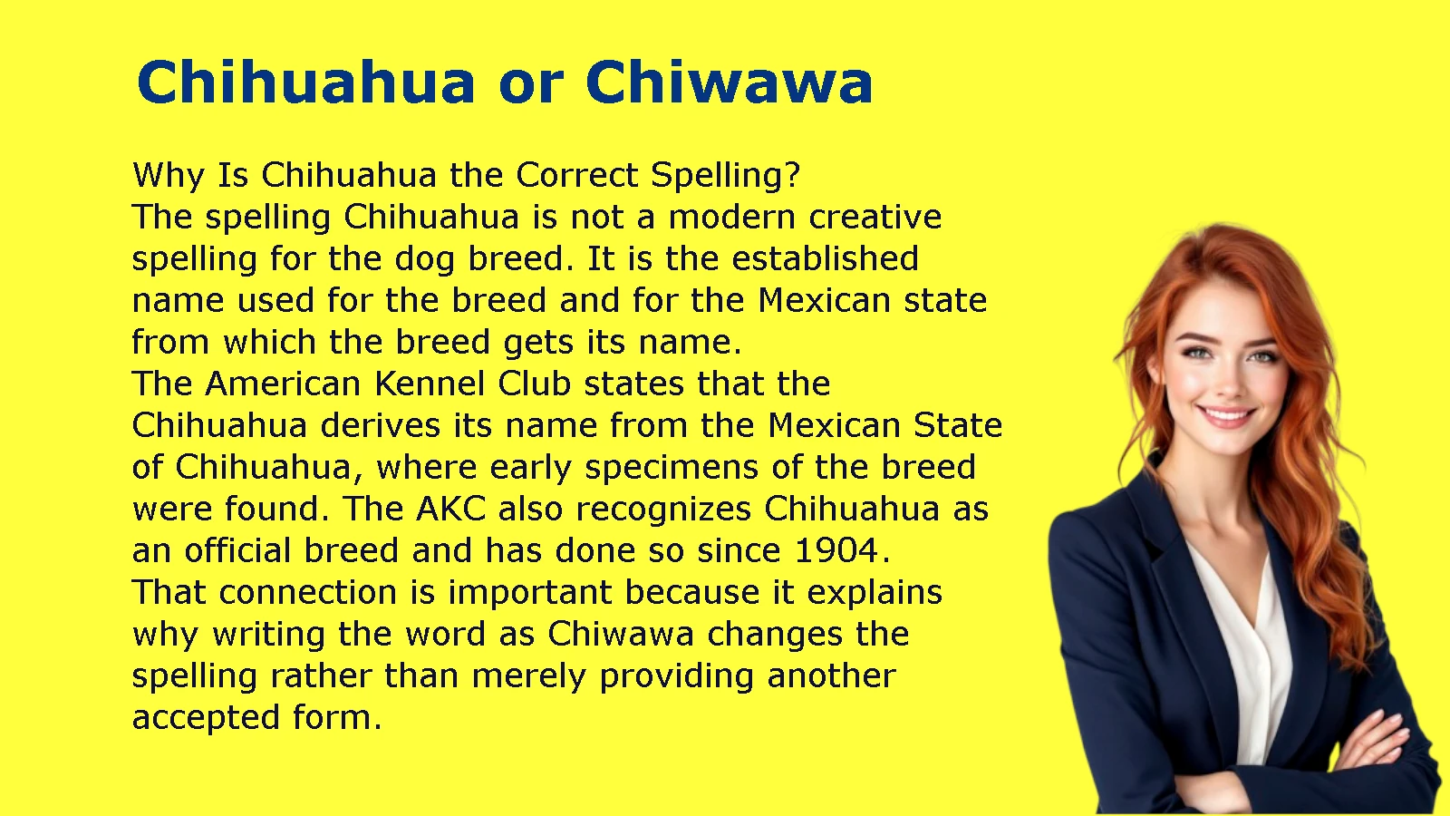 Chihuahua or Chiwawa