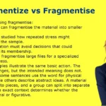 Fragmentize vs Fragmentise
